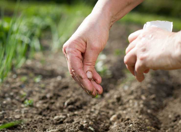 Adubos e fertilizantes