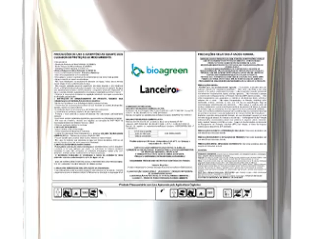 Lanceiro