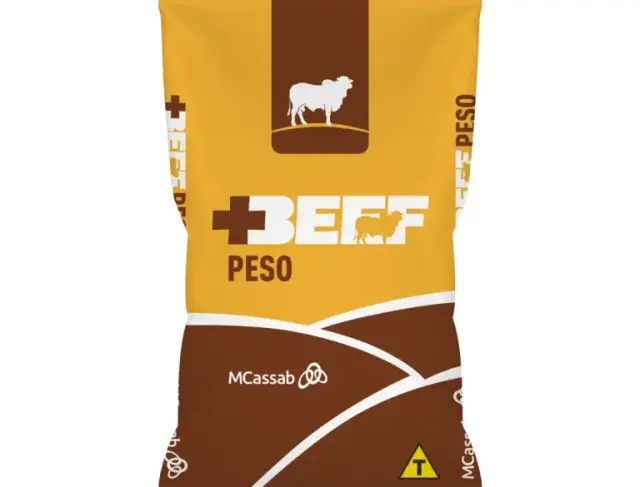 PESO 20