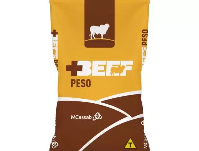 PESO 30